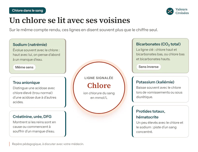 Le chlore sanguin et les six lignes du bilan à lire avec lui Schéma : le chlore au centre, entouré des lignes du bilan à lire avec lui : sodium (souvent dans le même sens), bicarbonates (souvent en sens inverse, la ligne clé), trou anionique, potassium, créatinine, urée et DFG, protides totaux et hématocrite.